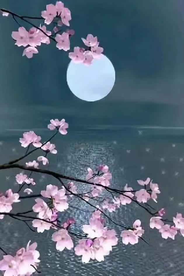 picname