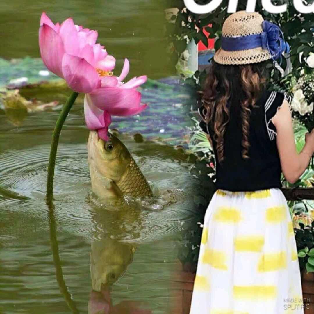 picname