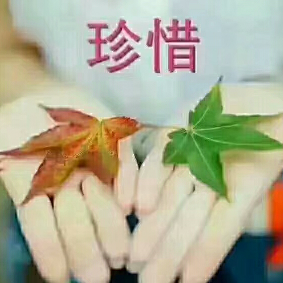 picname