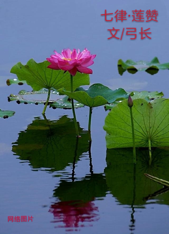 picname