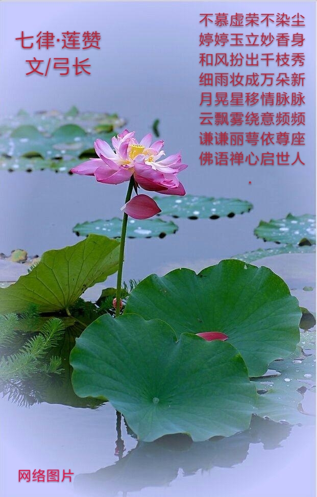 picname