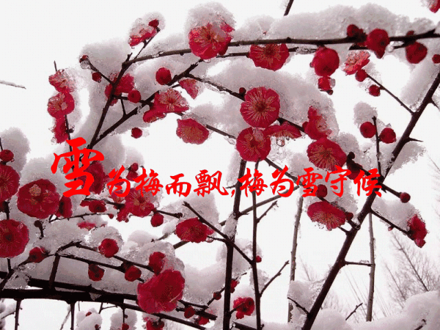 picname