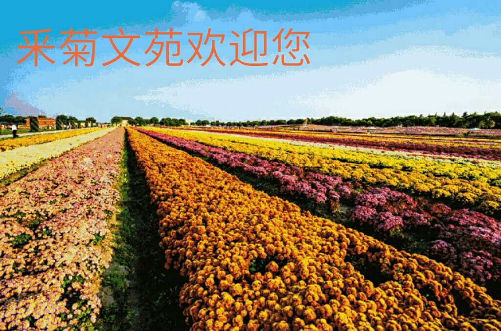 picname