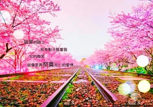 picname