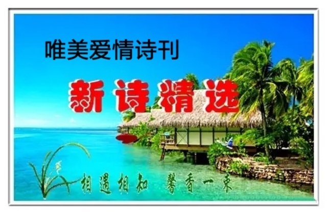 picname