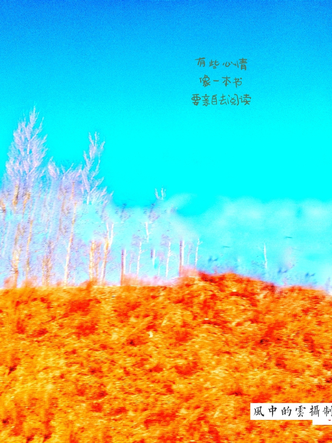 picname
