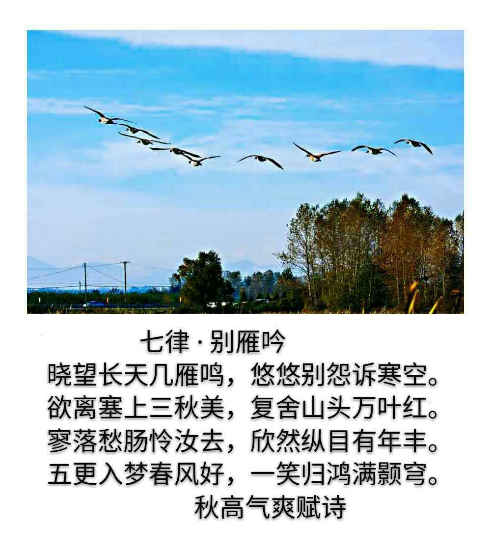 picname
