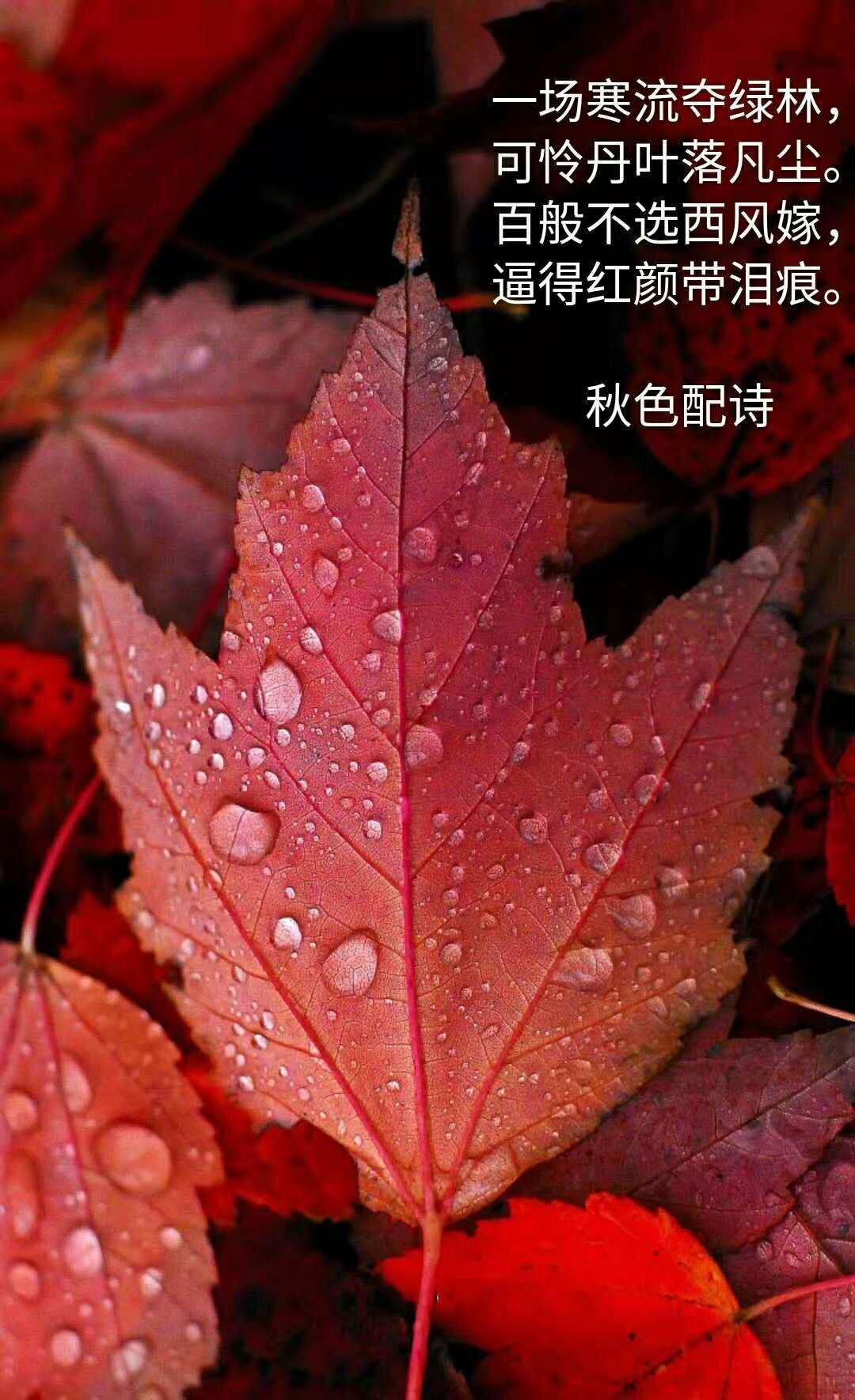 picname