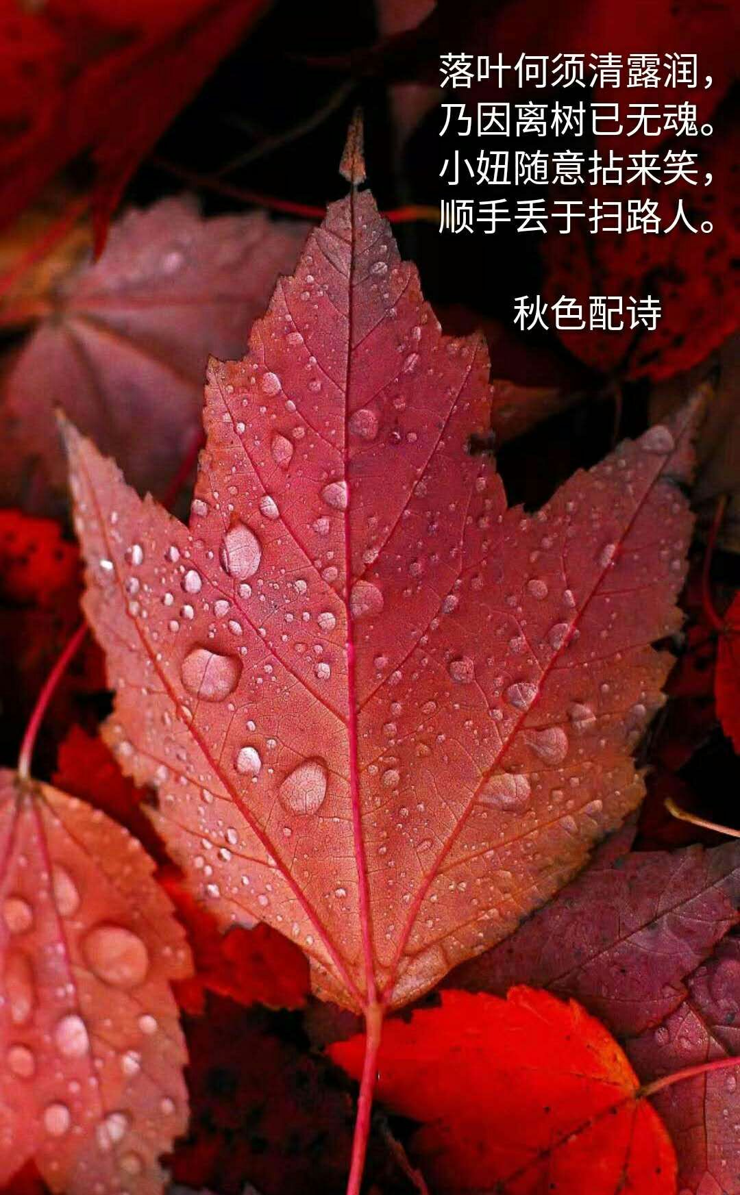 picname