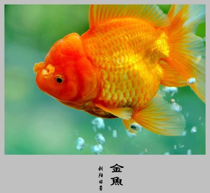 picname