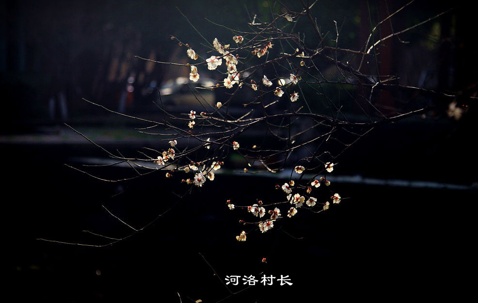 picname