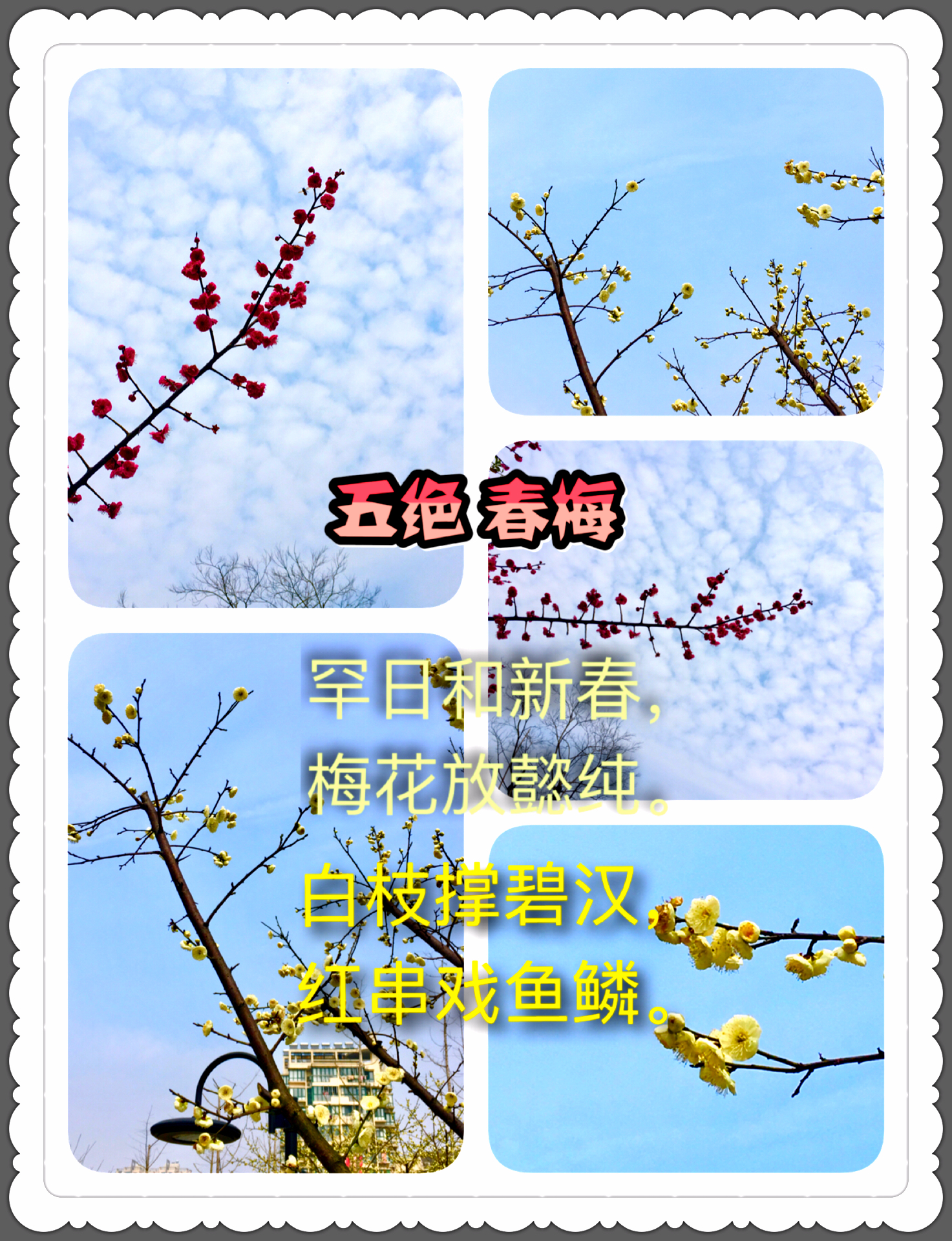 picname