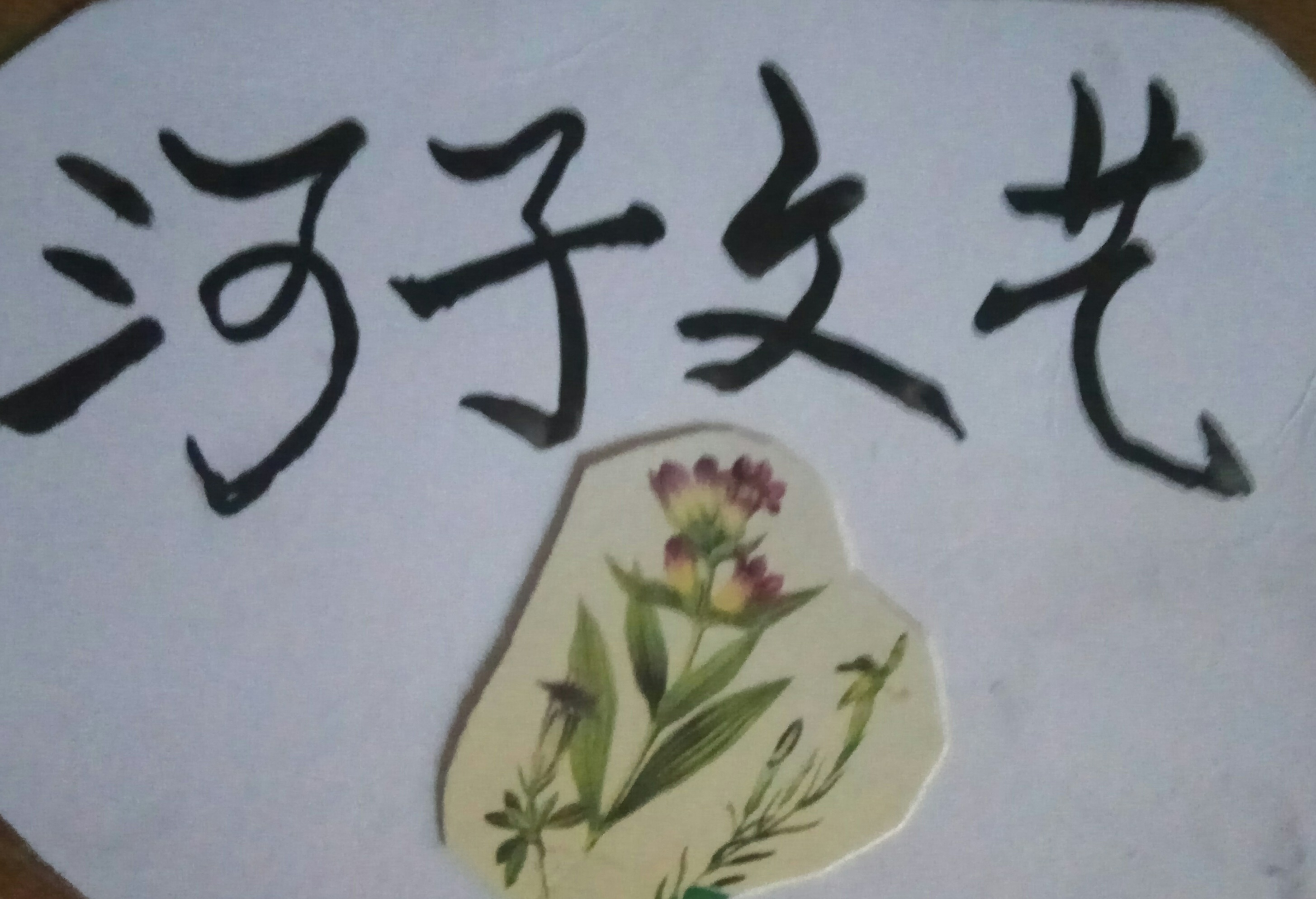picname