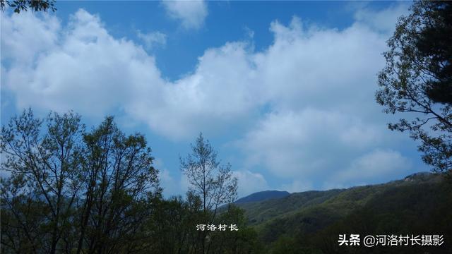 picname