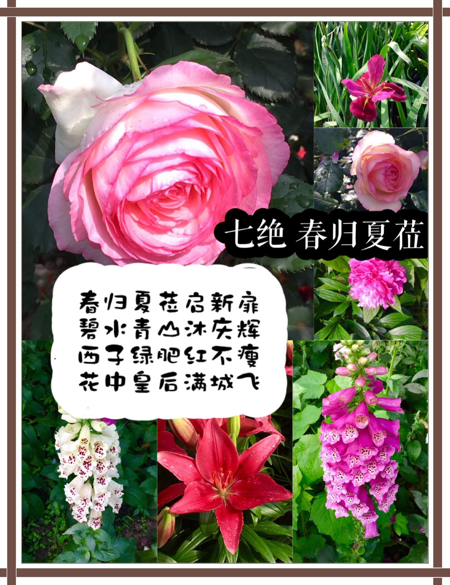 picname