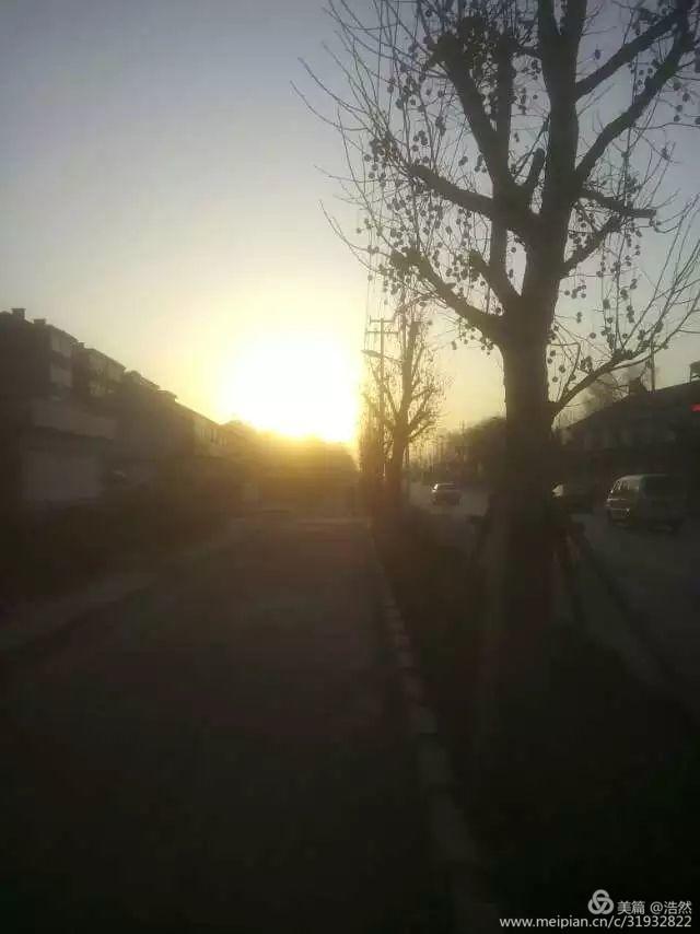 picname