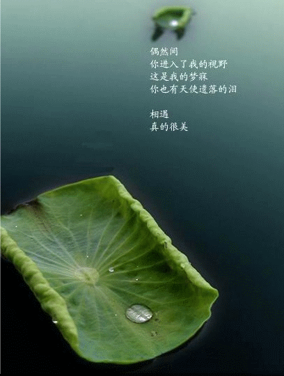 picname