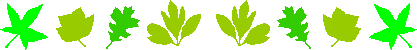 picname