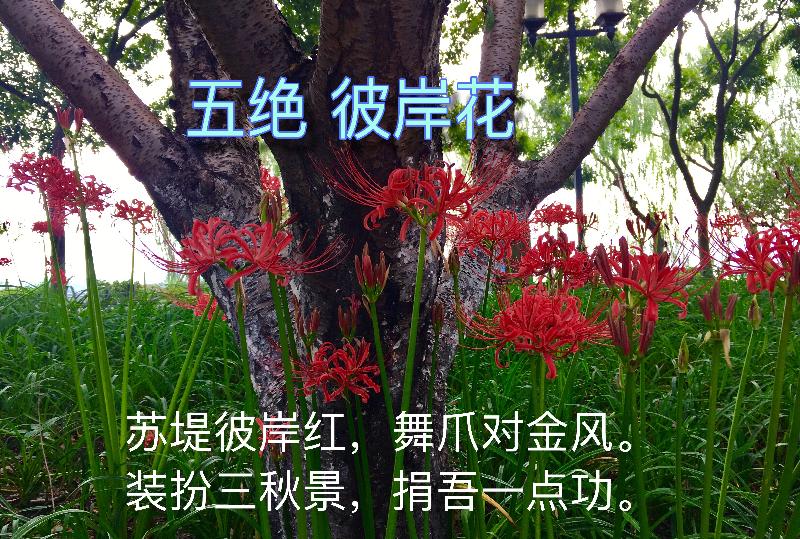 537EE42E-4D4F-4844-B7C2-C0665900BB83