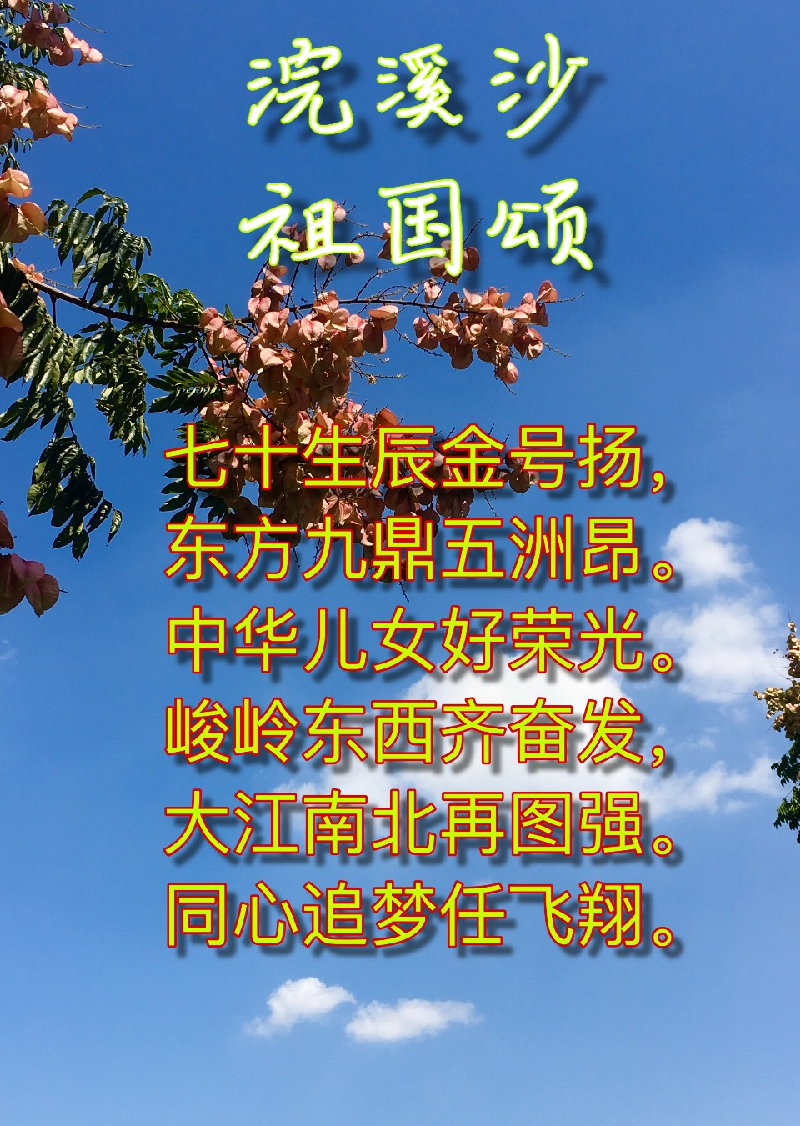 IMG_4969.PNG
