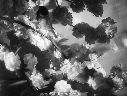 A2031BE5-754B-479E-8428-63F2346D10D9