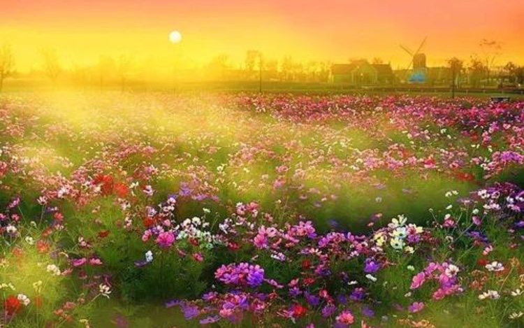 22941A9B-10CF-4FD7-AC4C-8ED36570F76A