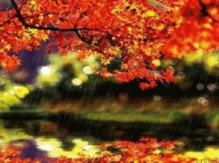 9F75D49B-69DB-4667-BCA7-05E33C115035