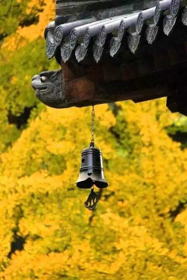 1570402157746
