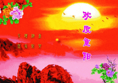955288B1-A0D6-4F8B-8163-596154392036