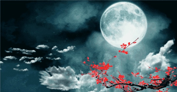 998F1A77-845E-4613-B487-9430AD6363E8