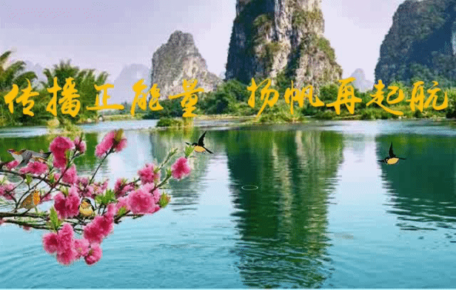 mmexport1569650193164