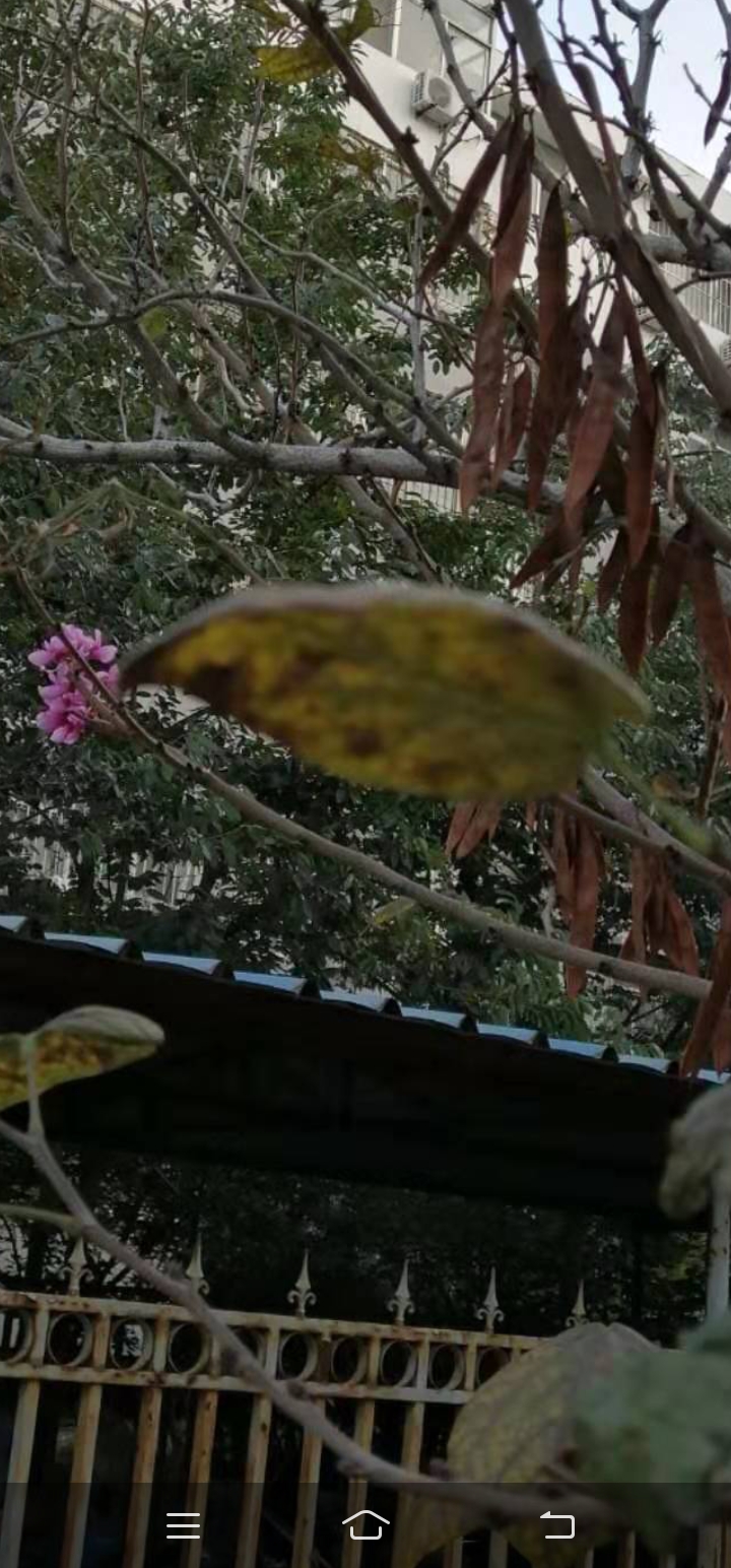 Screenshot_20191016_032120