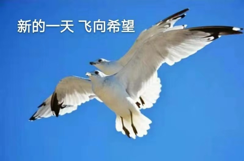 mmexport1572479896450