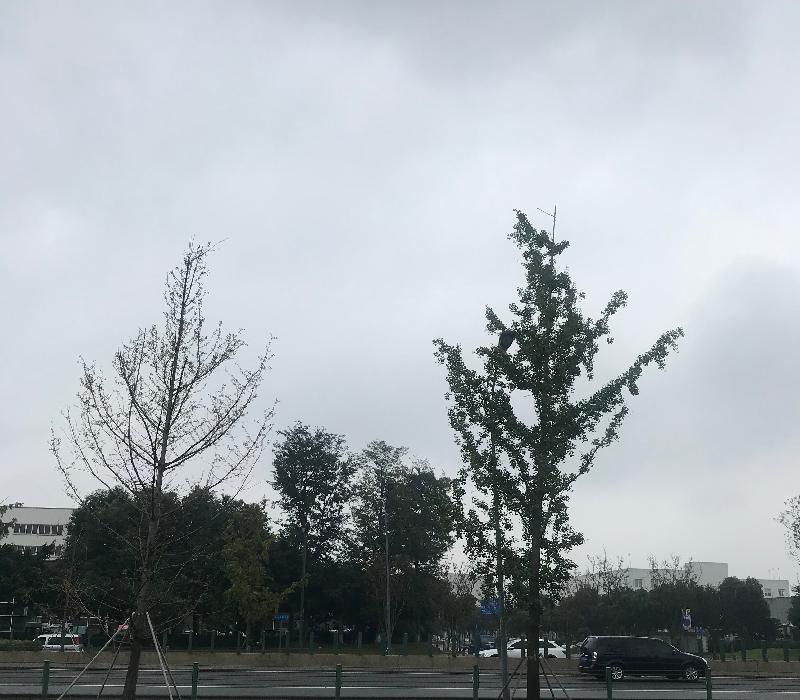 B280F3F1-D3C6-41F6-94FE-4CEB99F2EE38