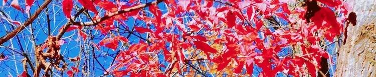 IMG_20191105_101408