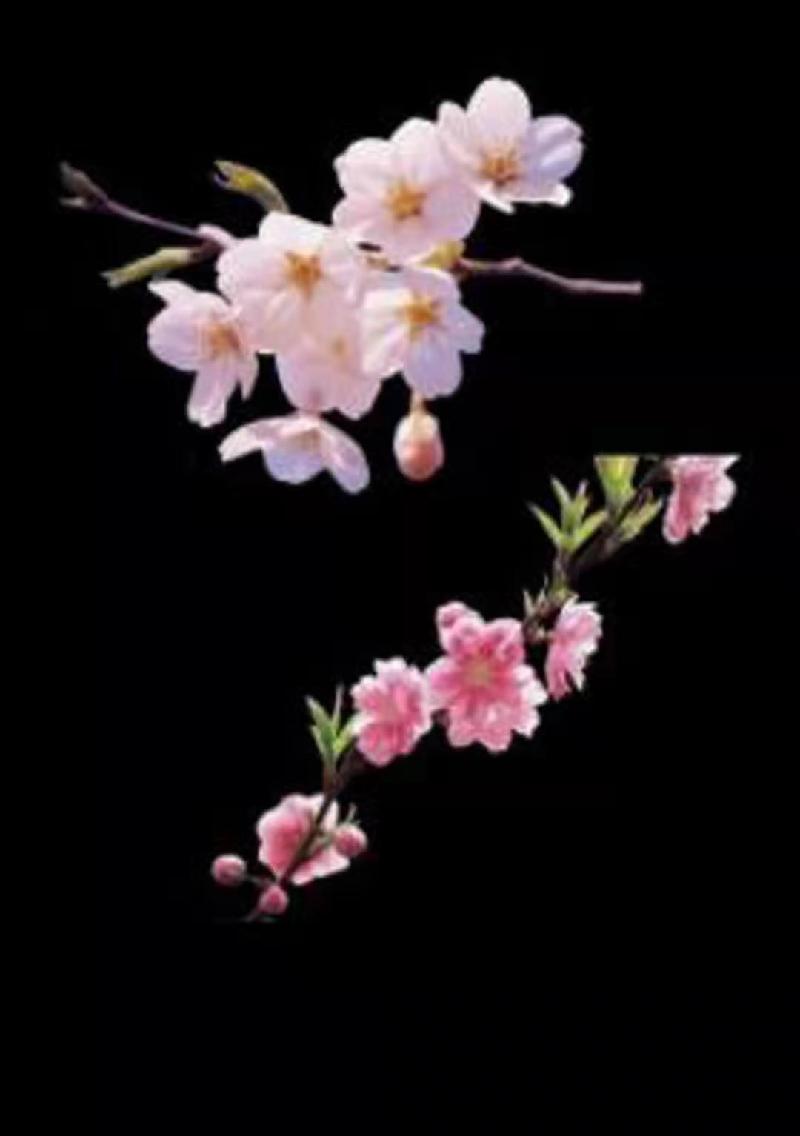 48CA60B9-FB38-4543-AD18-387736F09B19