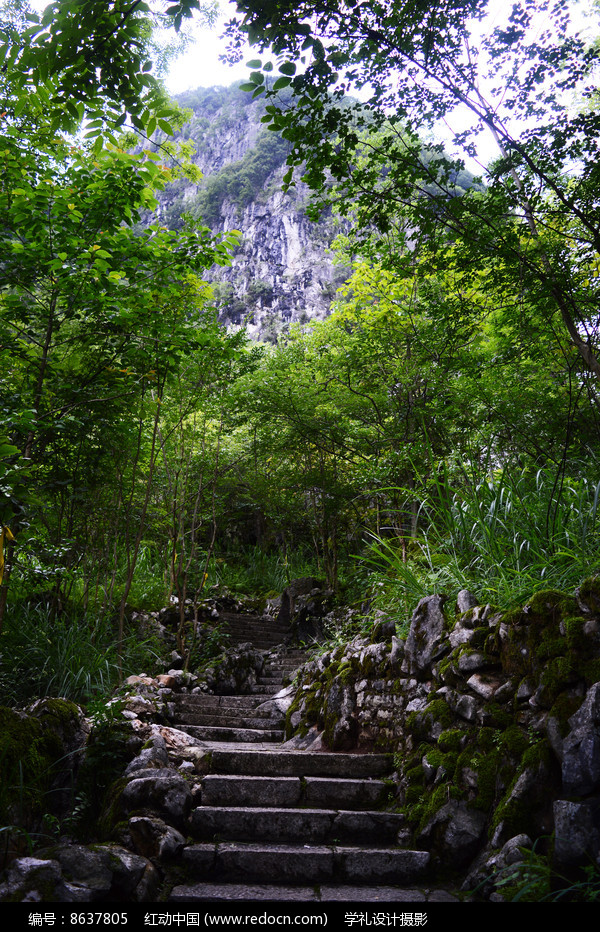 longgongjingqudekasitedimao_8637805