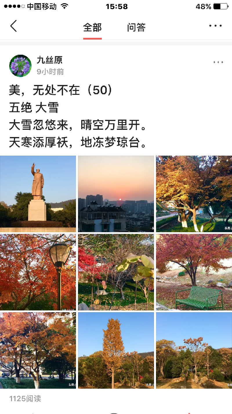 IMG_7081.PNG