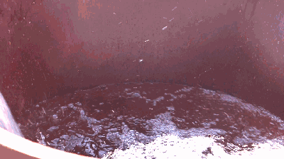 1576062244338