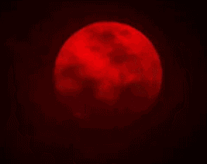 1576064111804