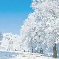 1576592824126.WEBP