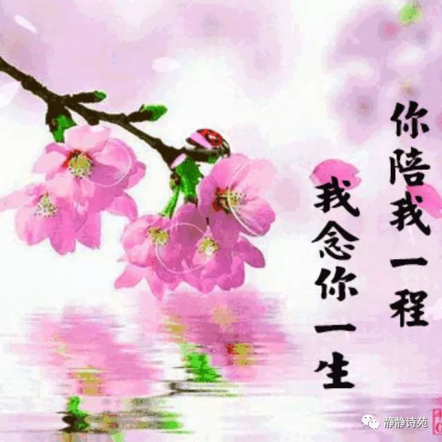 mmexport1573301307423.webp