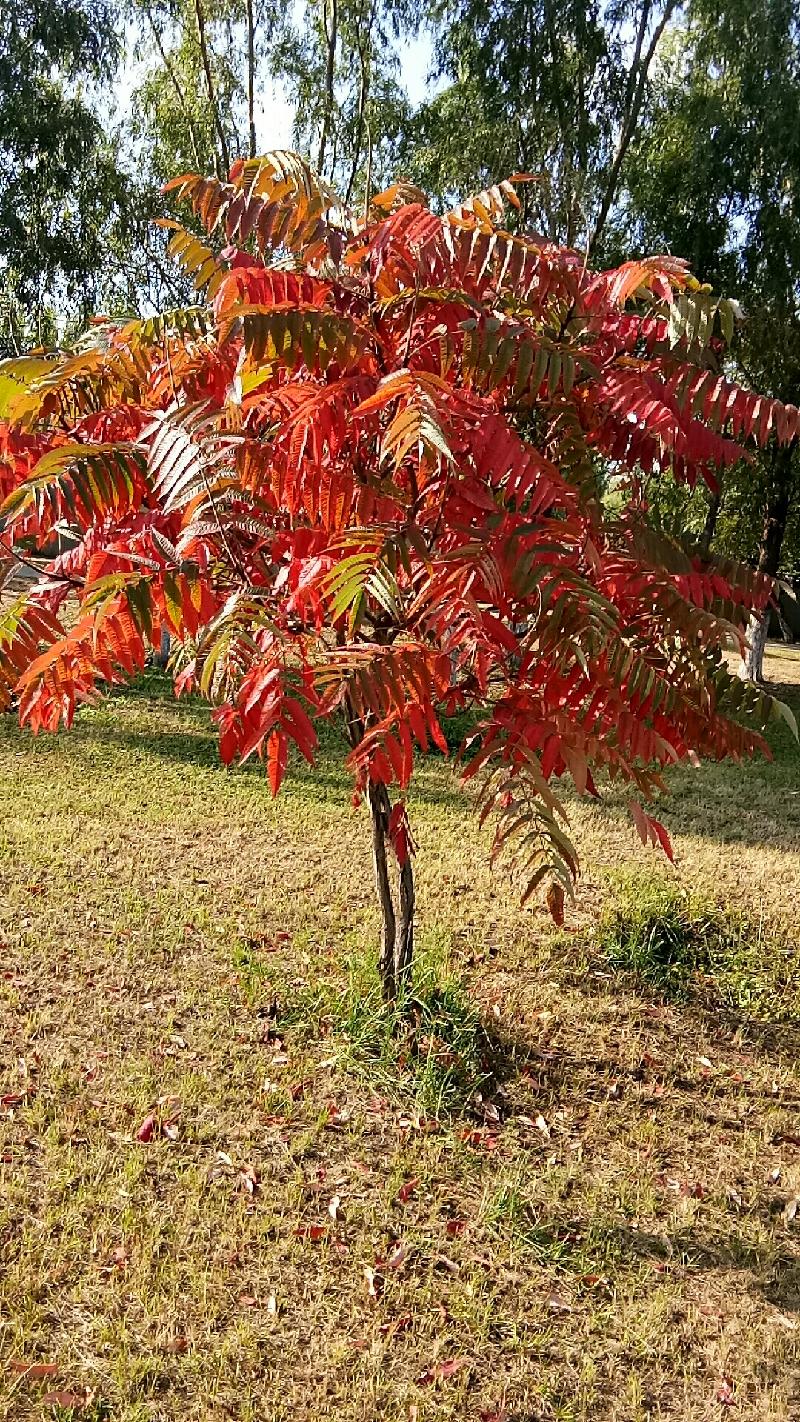 wx_camera_1569114634164
