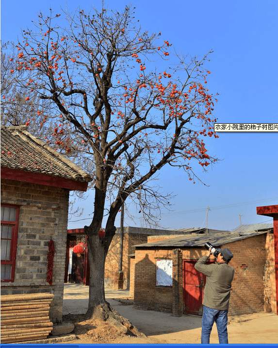 timg(34)