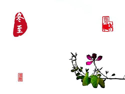 mmexport1576985418168