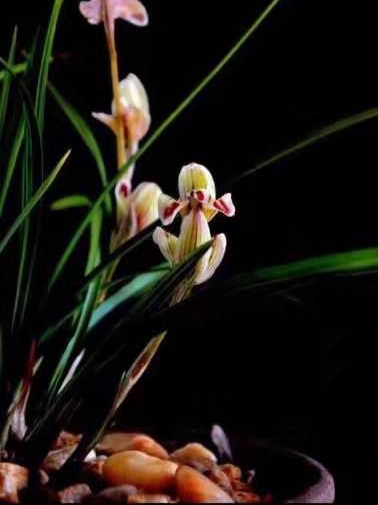 IMG_20191231_100909