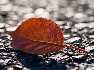 B3D1F0D1-1377-4F1A-A16B-2E85B1ED6AB0