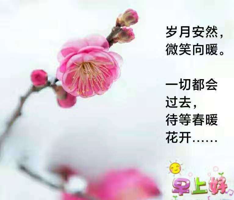 mmexport1580791976292